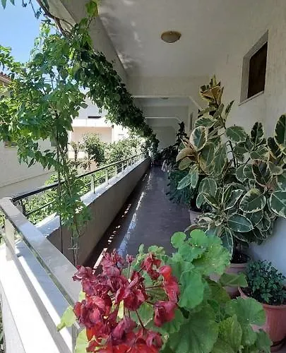 Madani Durrës