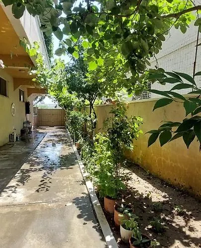Madani 3*